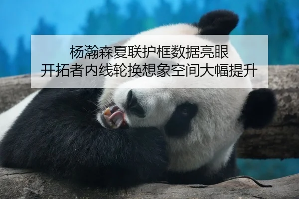 杨瀚森夏联护框数据亮眼 开拓者内线轮换想象空间大幅提升